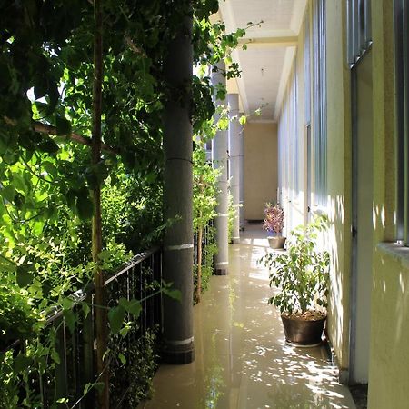 Hostel Bahir Dar Backpackers Exterior foto